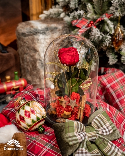 Rose éternelle sous cloche avec décorations de Noël.